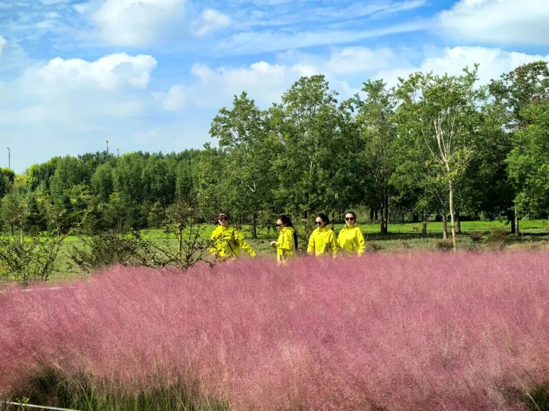 河南，被圈“粉”了！