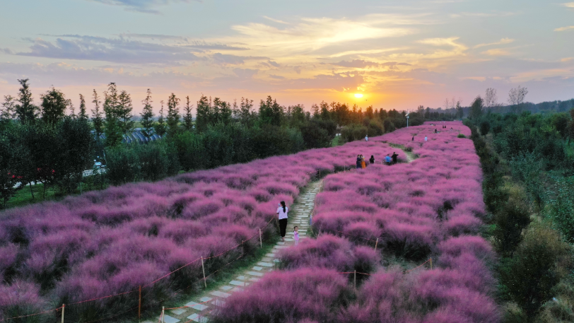 河南，被圈“粉”了！