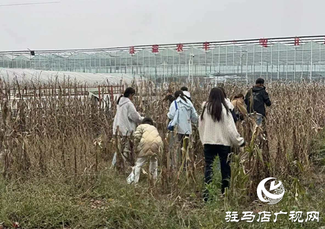 ??駐馬店職業(yè)技術(shù)學(xué)院商學(xué)院開(kāi)展素質(zhì)拓展與勞動(dòng)教育?
