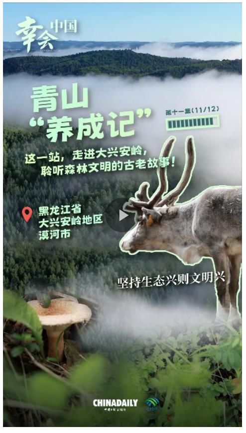 幸會(huì)中國(guó) | 走進(jìn)大興安嶺，見證生態(tài)興文明興的力量