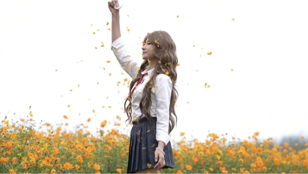 1031 共赴一場秋日菊宴