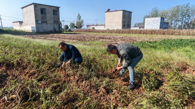 國(guó)網(wǎng)新蔡縣供電公司開(kāi)展金秋幫扶活動(dòng)