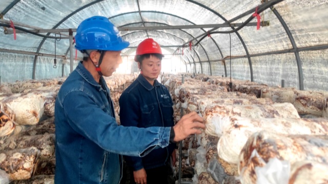 國網(wǎng)泌陽縣供電公司：服務(wù)冷庫安全用電 助力特色產(chǎn)業(yè)發(fā)展