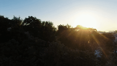 文化中國(guó)行·歲時(shí)中國(guó)|重陽:登高敬耆