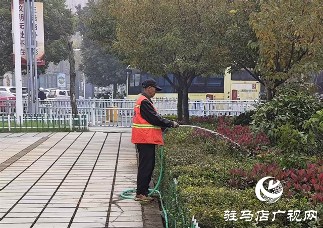  駐馬店市城鄉(xiāng)一體化示范區(qū)綜合執(zhí)法大隊(duì)開展高鐵廣場(chǎng)樹木補(bǔ)栽工作