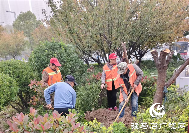  駐馬店市城鄉(xiāng)一體化示范區(qū)綜合執(zhí)法大隊(duì)開展高鐵廣場(chǎng)樹木補(bǔ)栽工作