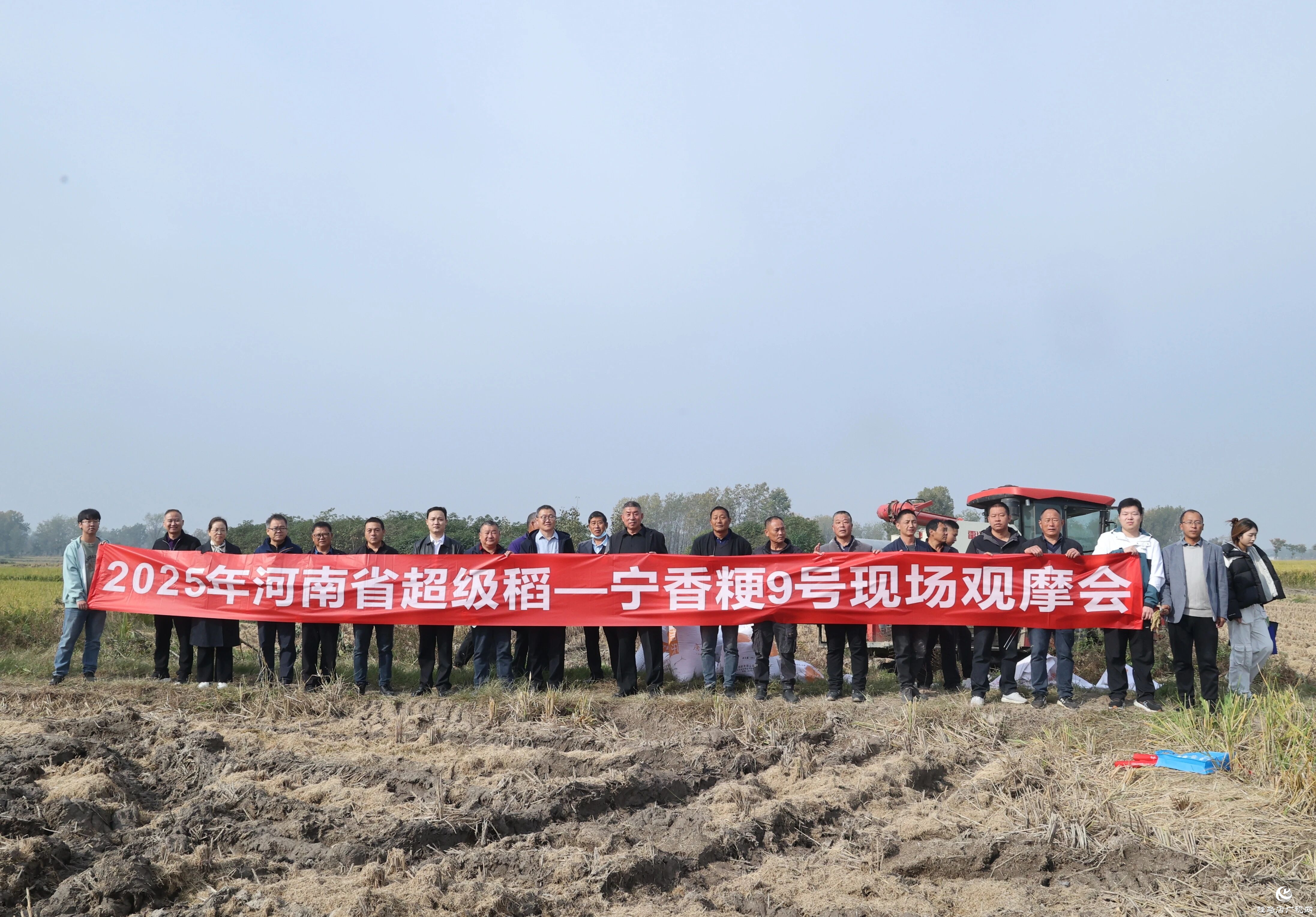 河南省優(yōu)質(zhì)食味粳稻觀摩會在正陽縣舉行