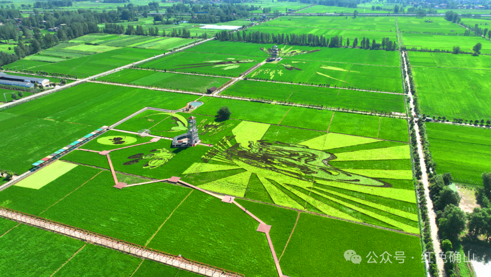 “十四五”駐馬店文旅答卷系列之三 | 業(yè)態(tài)創(chuàng)新升級(jí)，鄉(xiāng)村旅游火爆