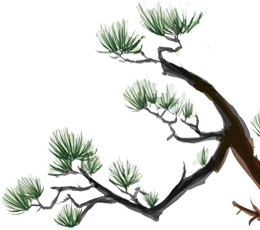 回望六百年，亦想再見