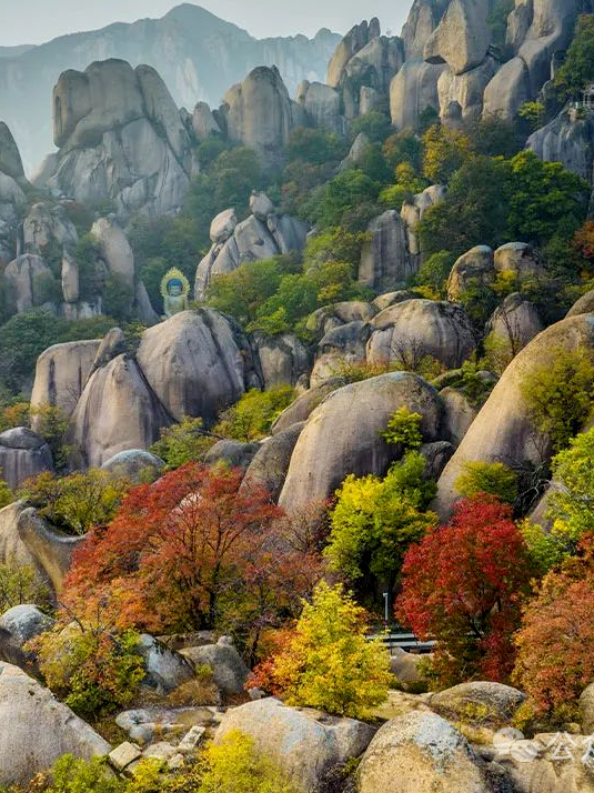 駐馬店秋日漫步指南：抓住秋天的尾巴，在這幾個地方邂逅最美時光