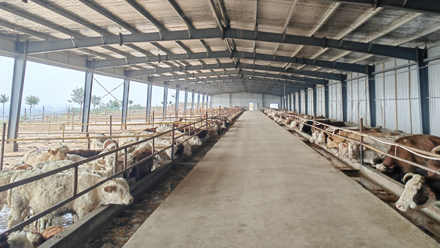 “?！碑a(chǎn)業(yè)蹚出富民路