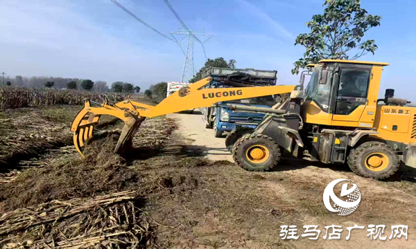 平輿縣射橋鎮(zhèn)：秸稈清運(yùn)“加速度” 繪就鄉(xiāng)村潔凈新圖景