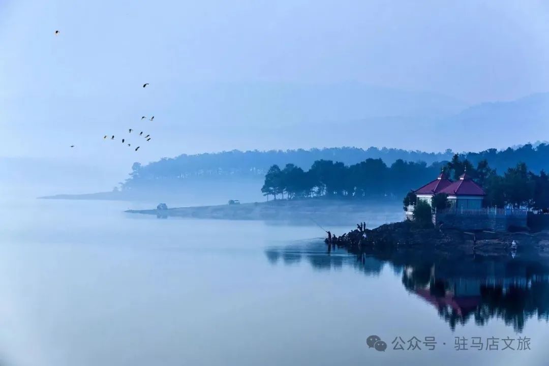 駐馬店秋日漫步指南：抓住秋天的尾巴，在這幾個地方邂逅最美時光