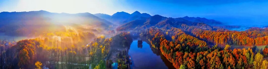 駐馬店秋日漫步指南：抓住秋天的尾巴，在這幾個地方邂逅最美時光