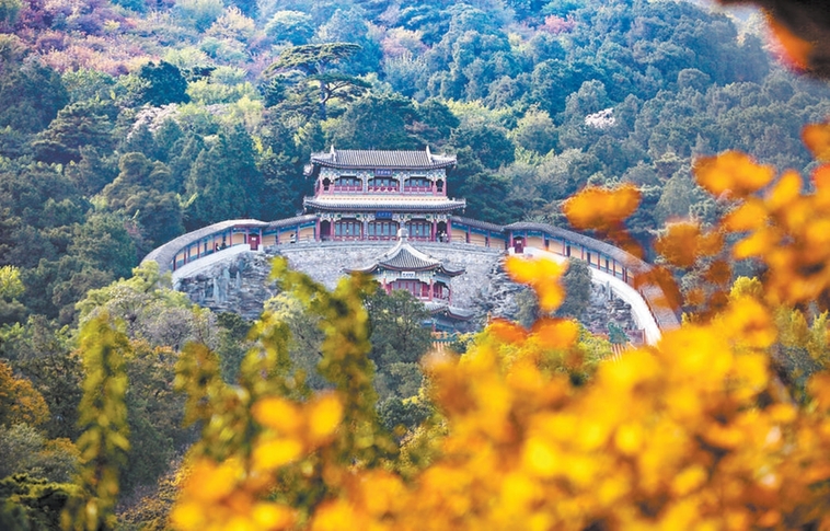 香山秋意晚 賞葉正當時