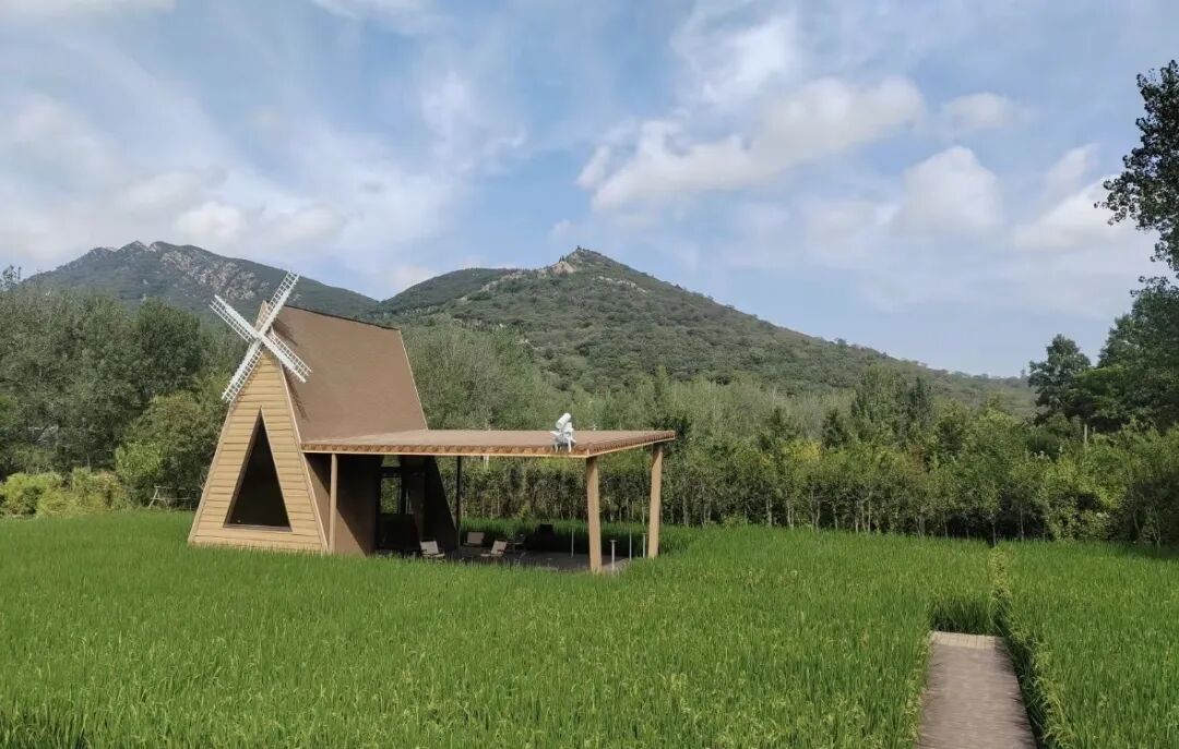 駐馬店秋日漫步指南：抓住秋天的尾巴，在這幾個地方邂逅最美時光