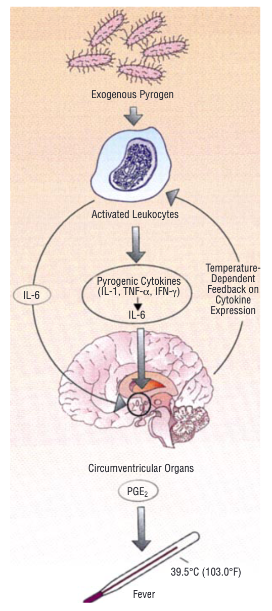 嗓子疼是感冒警報？做對這些事阻斷病毒