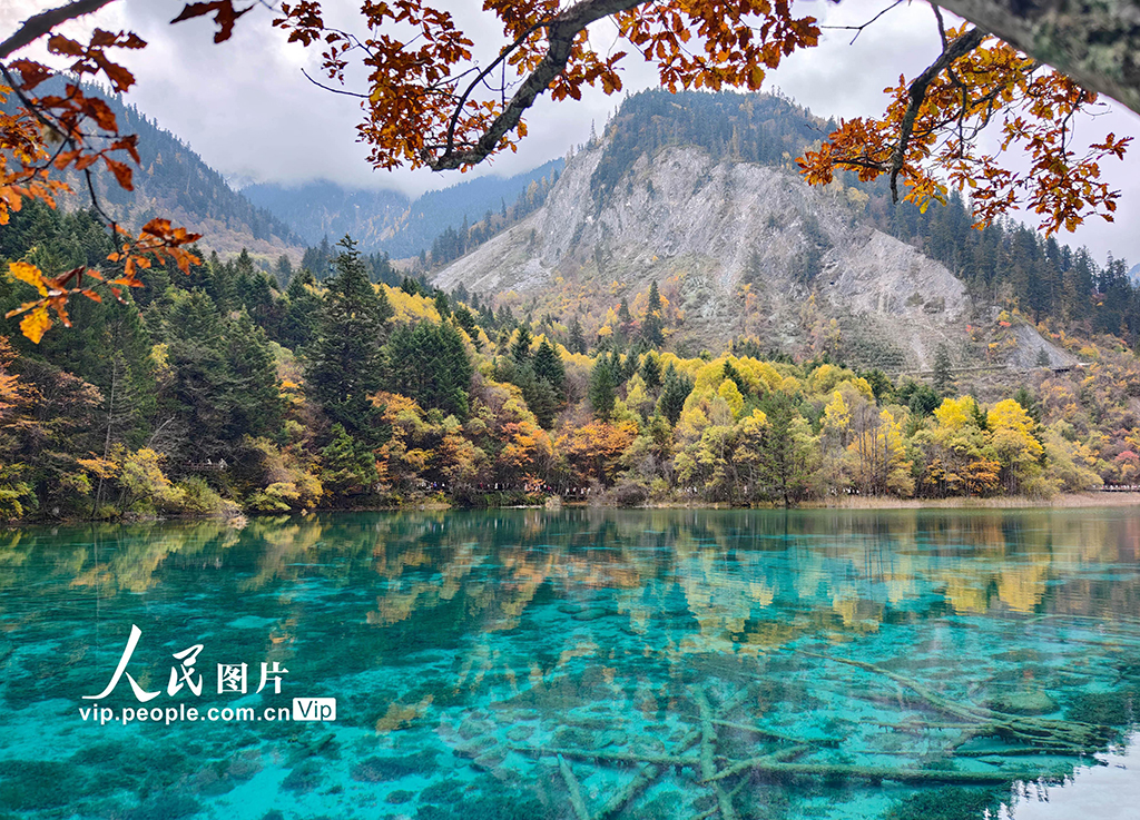 九寨溝 層林盡染