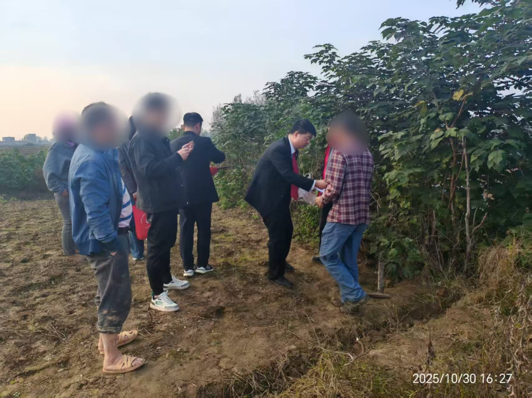 多方聯(lián)動化積怨 快速高效護秋耕：正陽法院田間地頭調(diào)解耕地糾紛