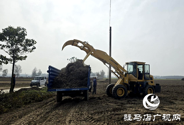 平輿縣玉皇廟鄉(xiāng)：干群攜手清秸稈 秋種禁燒雙推進