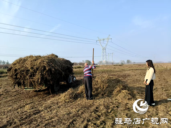 平輿縣李屯鎮(zhèn)：秸稈清運(yùn)除隱患 全域巡防護(hù)藍(lán)天
