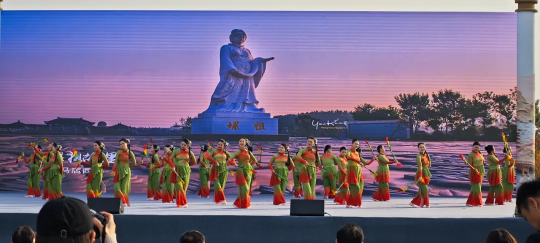 駐馬店兩支廣場舞隊伍精彩亮相2025年“中原舞蹁躚”河南省廣場舞大賽決賽