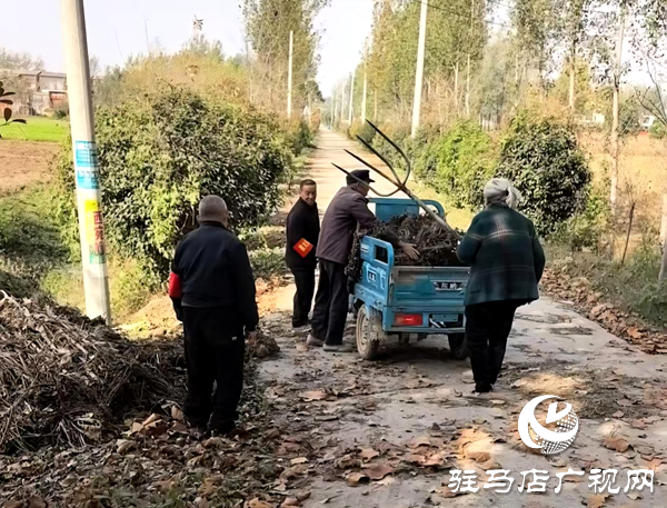 平輿縣玉皇廟鄉(xiāng)：干群攜手清秸稈 秋種禁燒雙推進