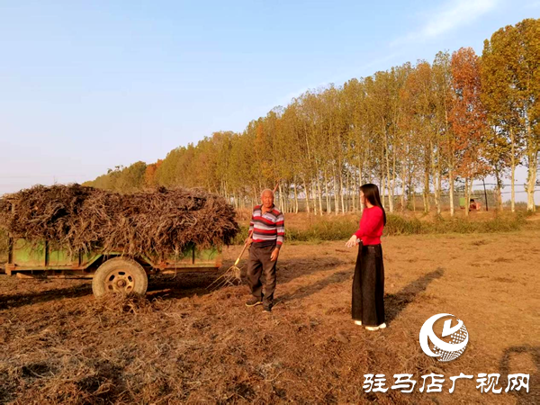 平輿縣李屯鎮(zhèn)：秸稈清運(yùn)除隱患 全域巡防護(hù)藍(lán)天