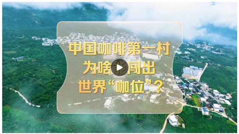 改革者 正青春｜中國(guó)咖啡第一村為啥能闖出世界“咖位”？
