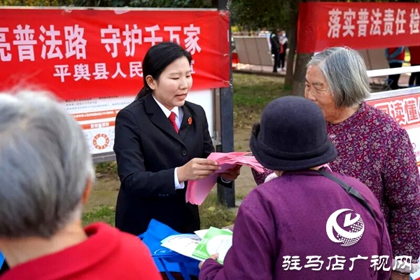 平輿縣人民法院:讓“法治”走到人民群眾身邊