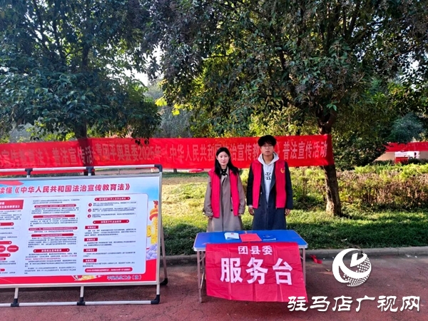 共青團(tuán)平輿縣委開(kāi)展2025年法治教育宣傳活動(dòng)