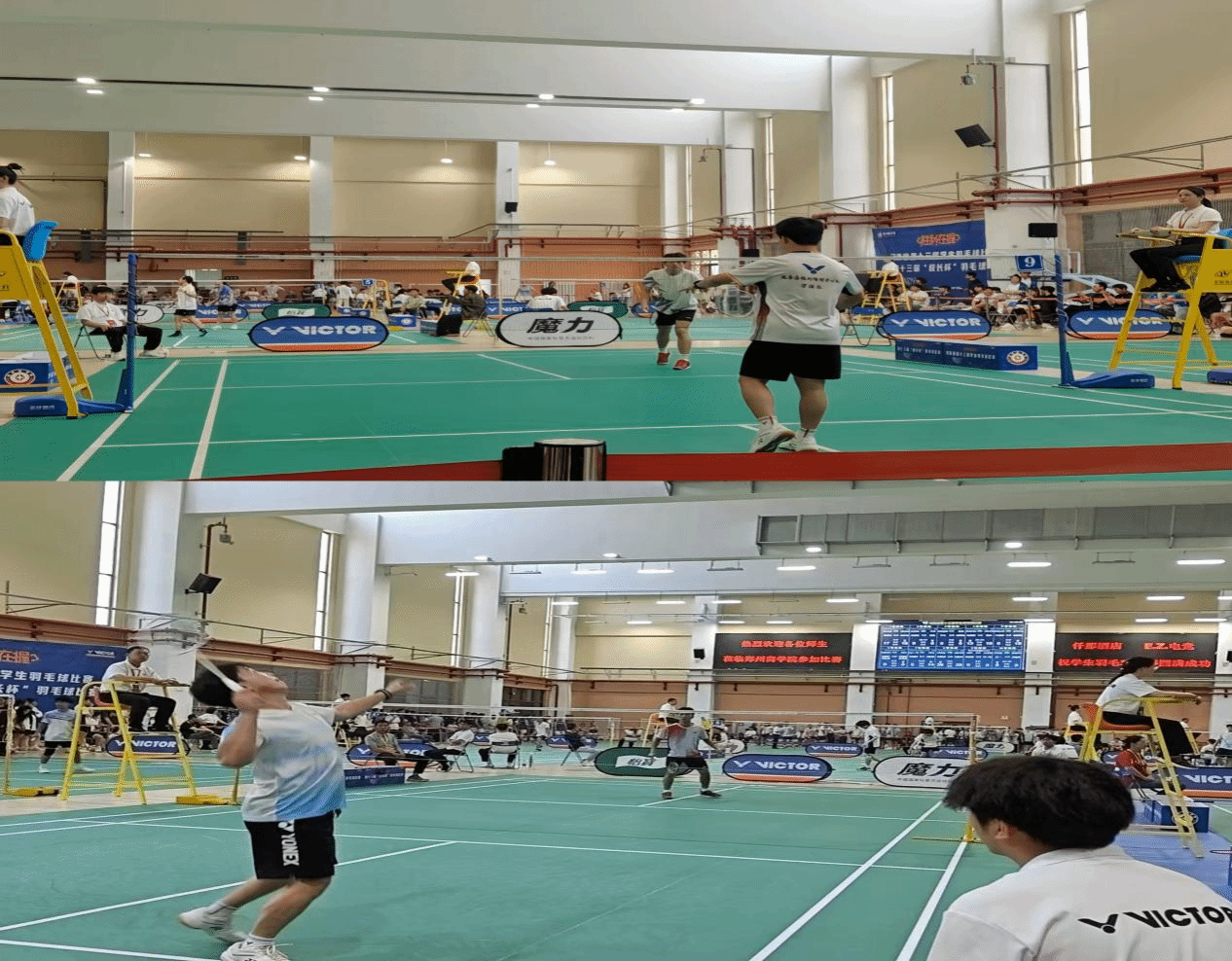  喜報(bào)！駐馬店職業(yè)技術(shù)學(xué)院在2025年河南省多項(xiàng)體育賽事中再創(chuàng)佳績