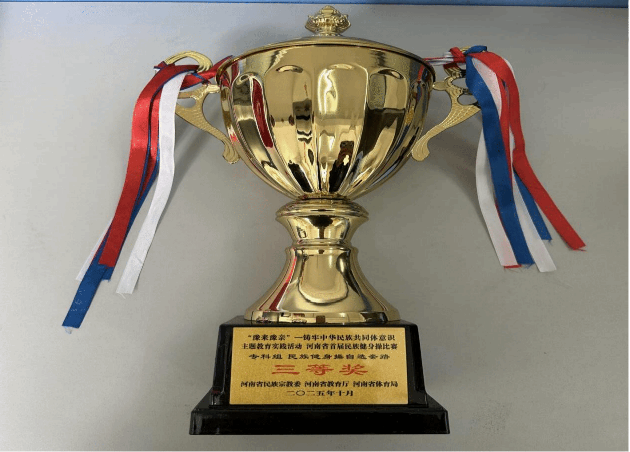  喜報(bào)！駐馬店職業(yè)技術(shù)學(xué)院在2025年河南省多項(xiàng)體育賽事中再創(chuàng)佳績