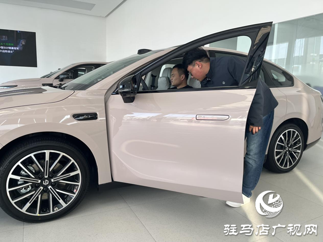 駐馬店:新能源汽車市場持續(xù)火熱 政策技術(shù)雙輪驅(qū)動消費(fèi)增長