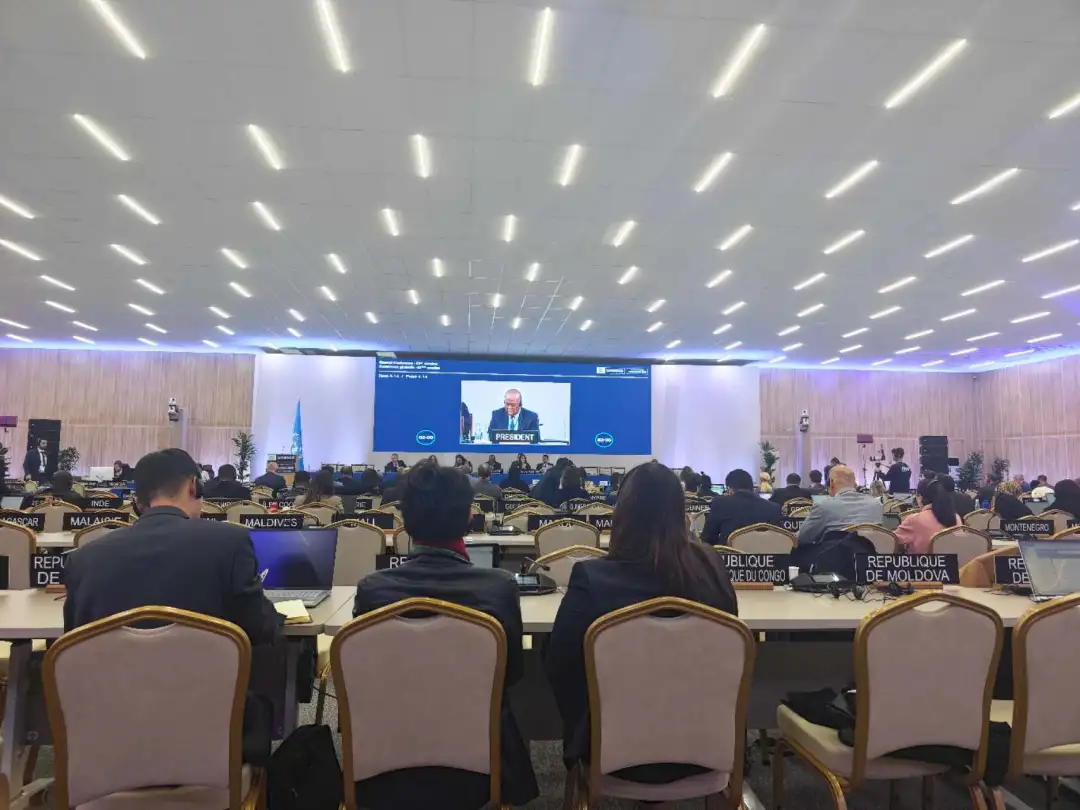 全球首個！每年3月21日，正式設(shè)立→