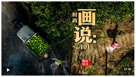 時政畫說丨柚見豐年