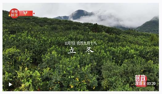 時(shí)政現(xiàn)場(chǎng)說丨金柚滿枝頭 產(chǎn)業(yè)甜萬家