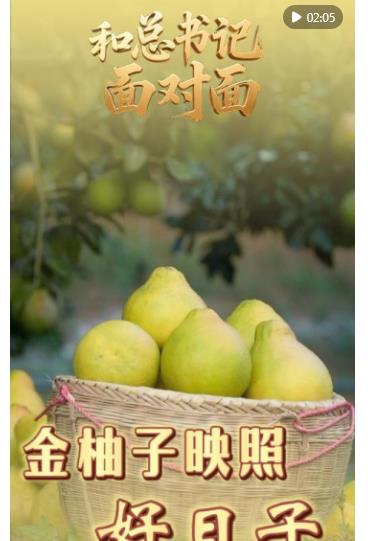 和總書記面對面｜金柚子映照好日子