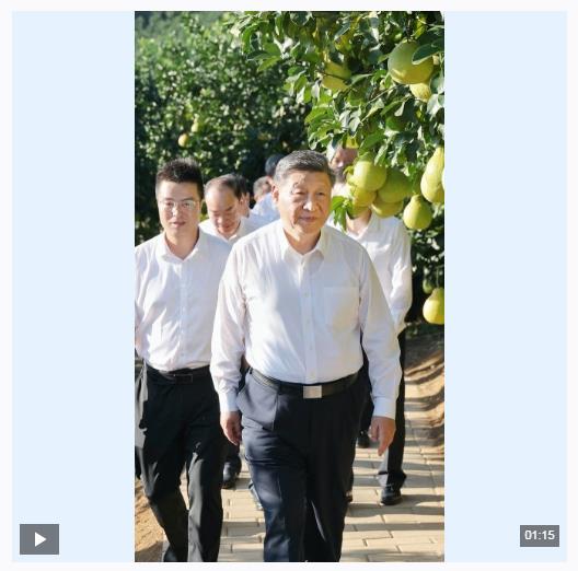 獨(dú)家視頻丨總書記關(guān)心的“土特產(chǎn)” 捧起鄉(xiāng)村振興的“金飯碗”