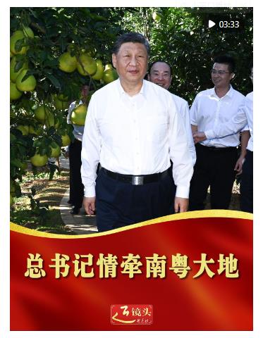 近鏡頭｜總書記情牽南粵大地