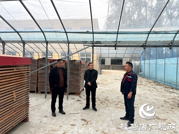 平輿縣射橋鎮(zhèn)：持續(xù)優(yōu)化營商環(huán)境 服務(wù)企業(yè)做大做強(qiáng)