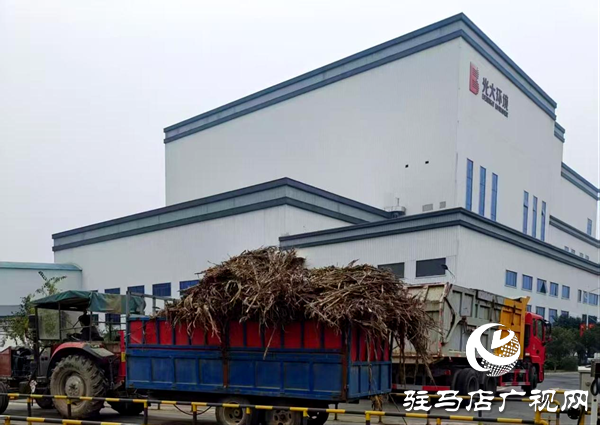 平輿縣萬金店鎮(zhèn)：秋防一線踐初心 秸稈“變寶”惠民生