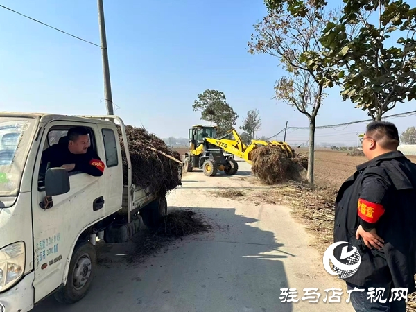 平輿縣萬金店鎮(zhèn)：秋防一線踐初心 秸稈“變寶”惠民生