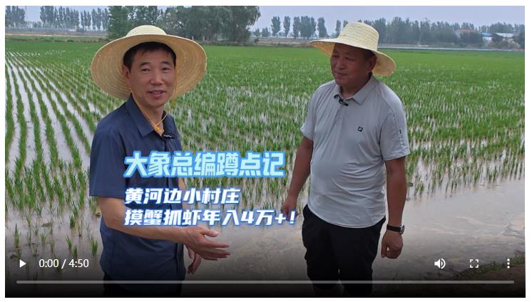 大象總編蹲點(diǎn)記│黃河邊小村莊 摸蟹抓蝦年入4萬(wàn)+！