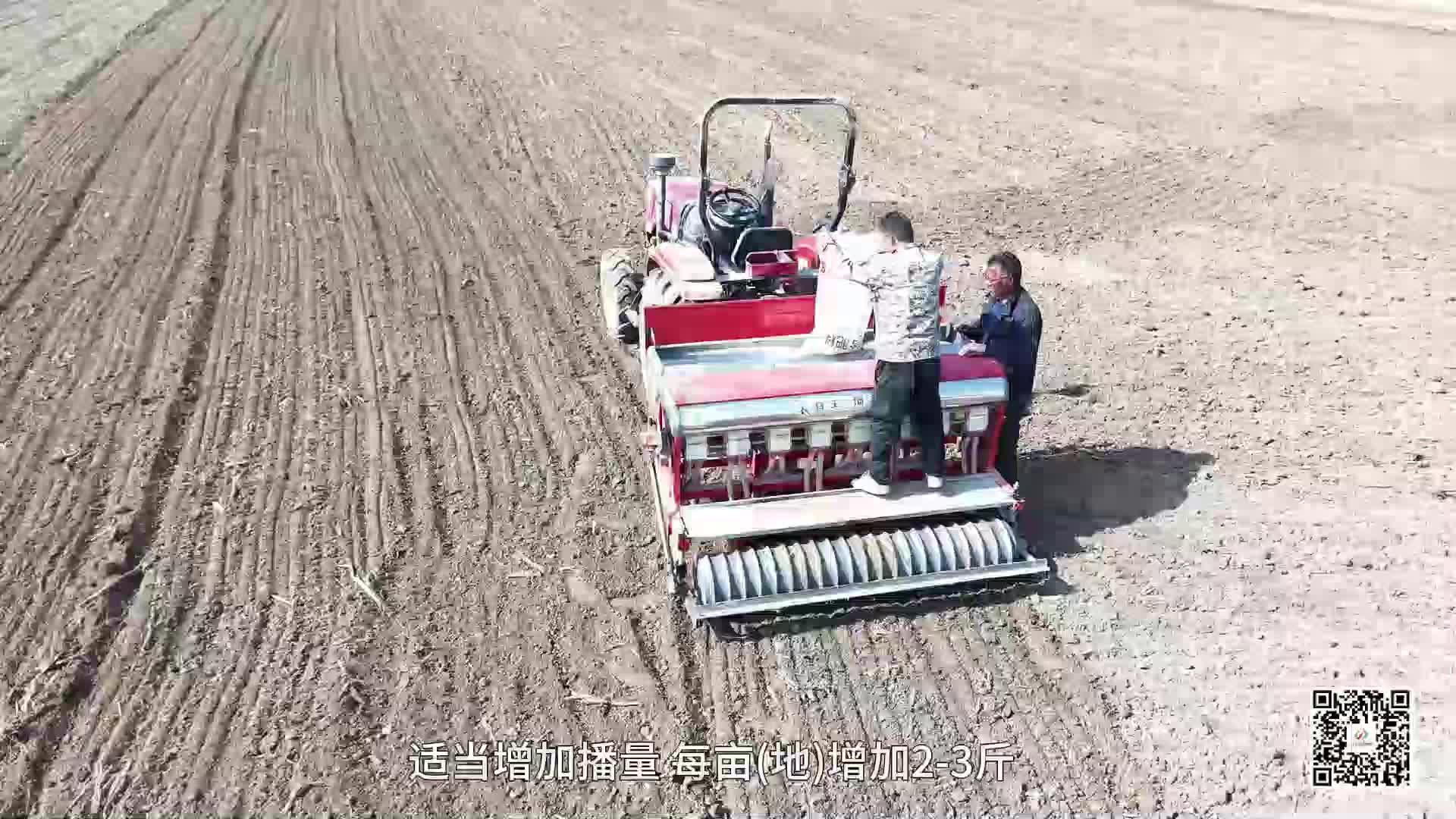 秋播進(jìn)行時(shí) 科學(xué)分類指導(dǎo)保障小麥適墑播種