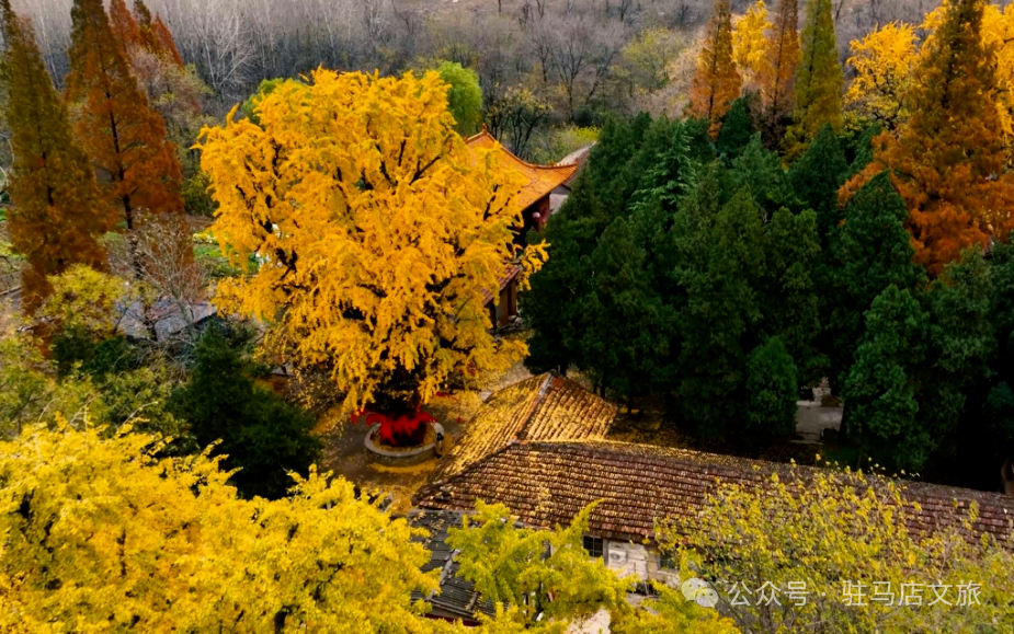 重磅！駐馬店秋日美景強(qiáng)勢上榜微博旅游推薦，這份賞秋指南請收好！