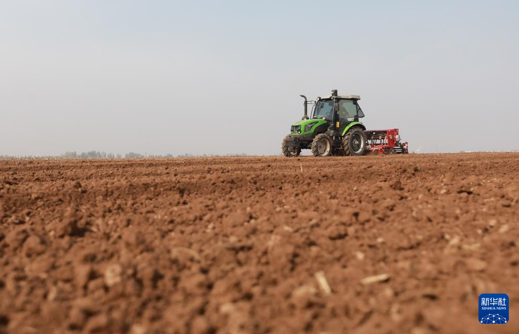 全國(guó)冬小麥播種近七成