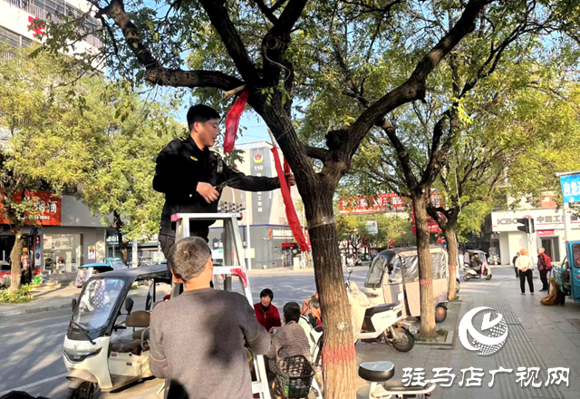 確山：用繡花功夫管好城市