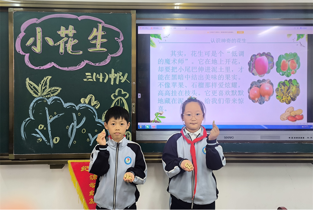 駐馬店第二實(shí)驗(yàn)小學(xué)開展“落花生?悟成長(zhǎng)”秋日豐收實(shí)踐活動(dòng)