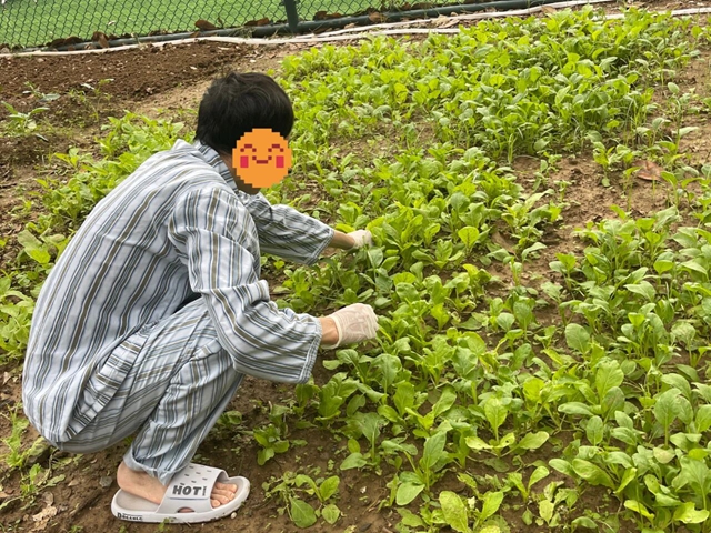 探尋健康新路徑：田園療法帶來身心治愈